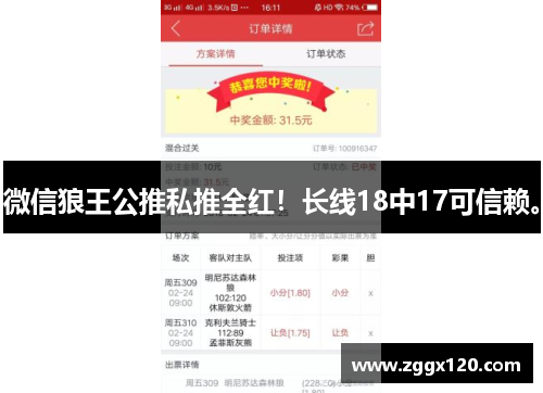 微信狼王公推私推全红!长线18中17可信赖。